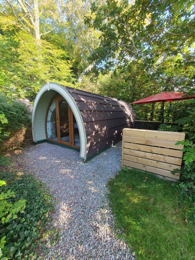 Priory Glamping Pods And Guest Accommodation Кілларні Екстер'єр фото