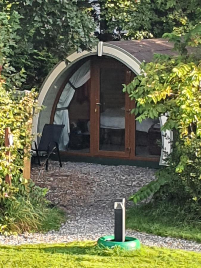 Priory Glamping Pods And Guest Accommodation Кілларні Екстер'єр фото