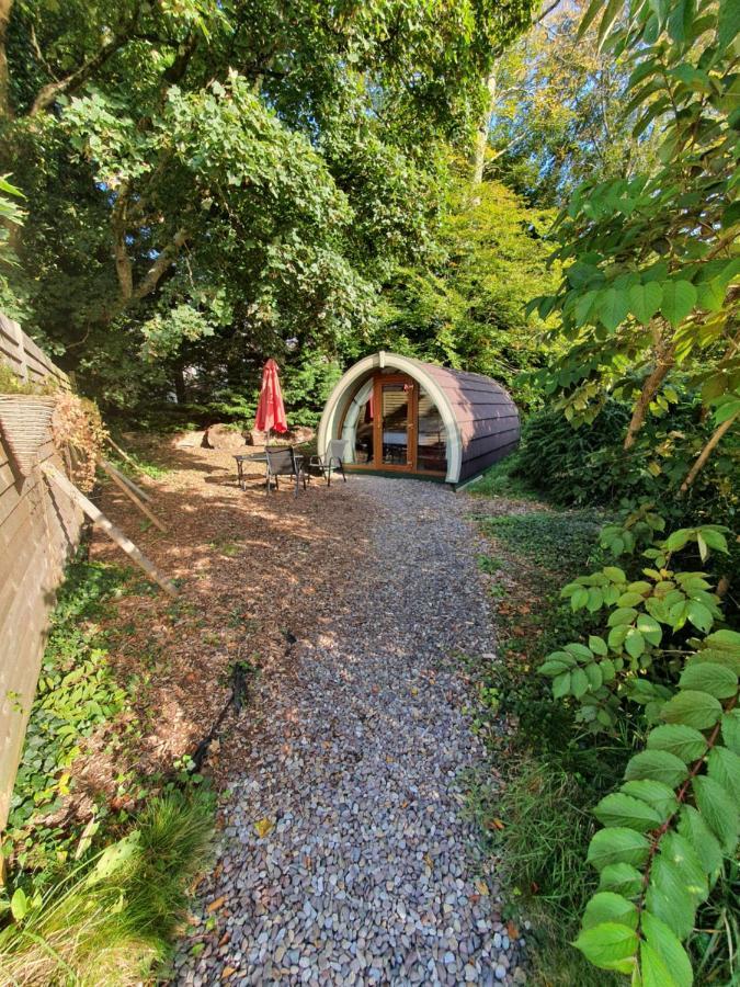 Priory Glamping Pods And Guest Accommodation Кілларні Екстер'єр фото