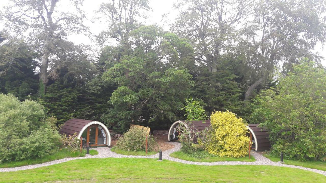 Priory Glamping Pods And Guest Accommodation Кілларні Екстер'єр фото