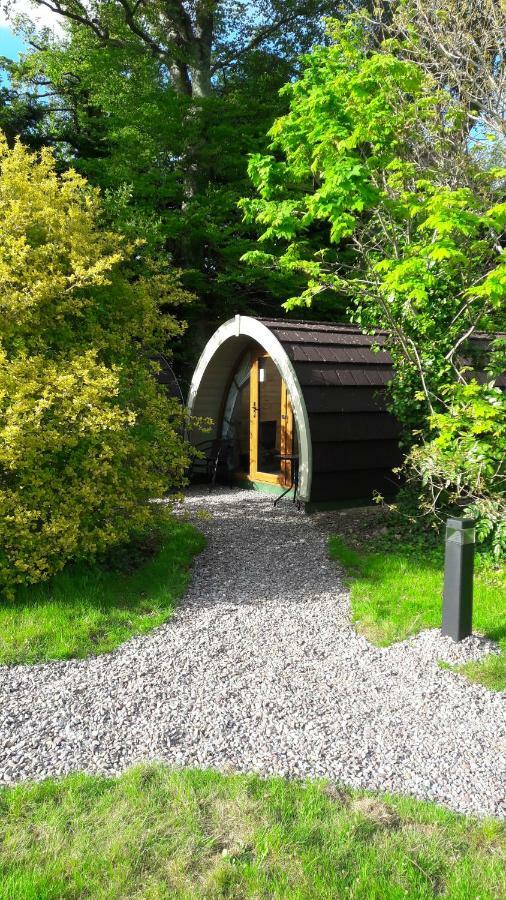 Priory Glamping Pods And Guest Accommodation Кілларні Екстер'єр фото