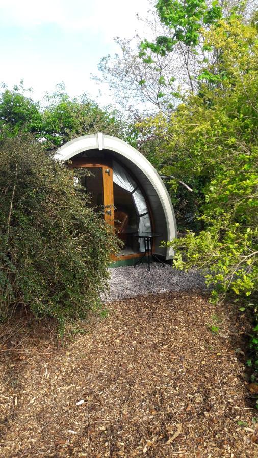 Priory Glamping Pods And Guest Accommodation Кілларні Екстер'єр фото
